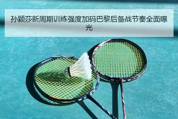 孙颖莎新周期训练强度加码巴黎后备战节奏全面曝光
