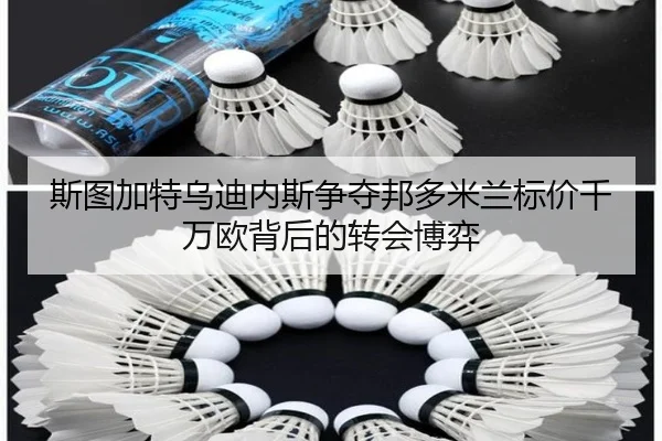 斯图加特乌迪内斯争夺邦多米兰标价千万欧背后的转会博弈